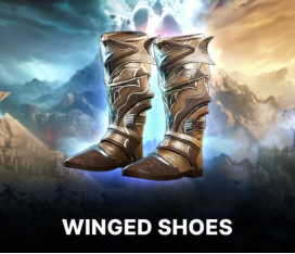 Winged Leather Shoes Artifact